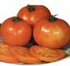 v_tomatojubilee.jpg